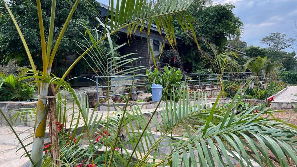 Gipir And Labongo Safari Lodge Ltd Pakwach Ngoại thất bức ảnh